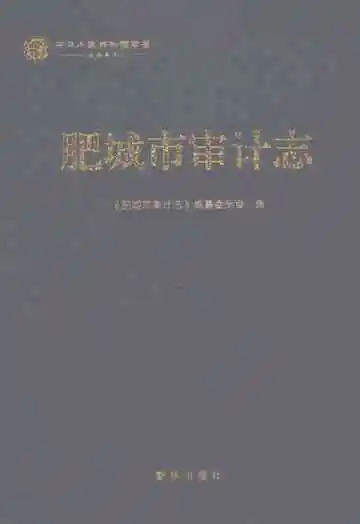 肥城市审计志