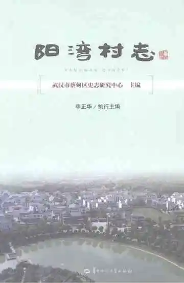 阳湾村志