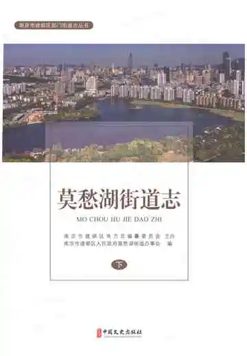 莫愁湖街道志（下）