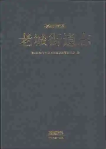 老城街道志