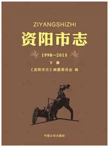 资阳市志：1998-2015.下册