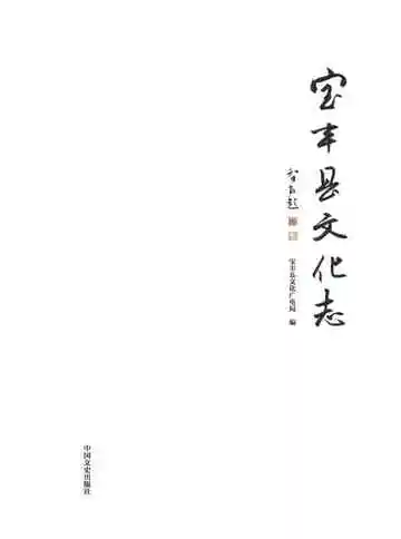 宝丰县文化志