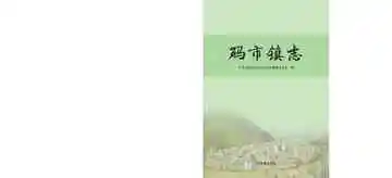 码市镇志