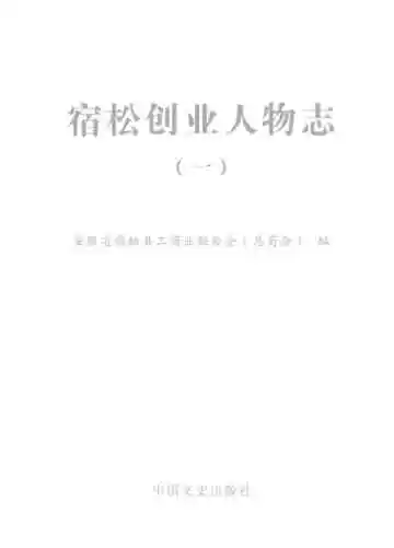 宿松创业人物志