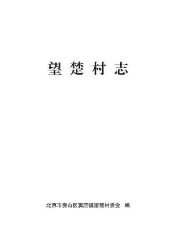 望楚村志