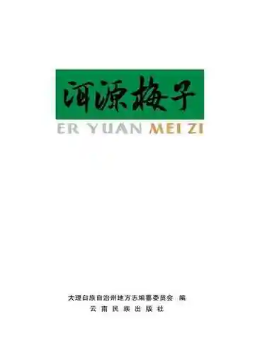 洱源梅子