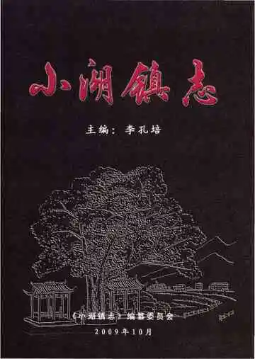 小湖镇志