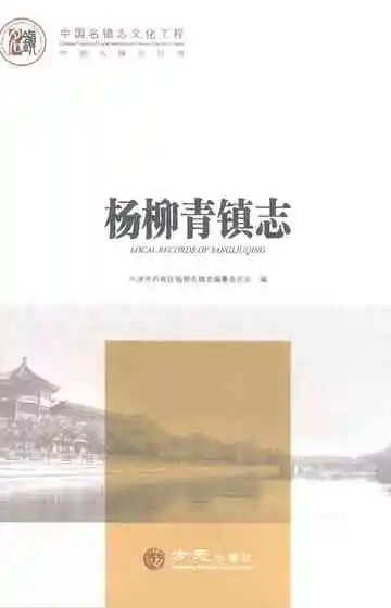 中国名镇志丛书杨柳青镇志