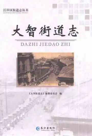 《大智街道志》封面
