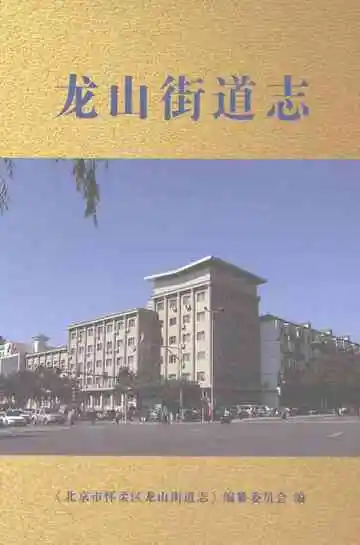 龙山街道志