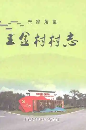 王金村村志