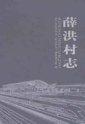 薛洪村志