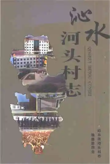 沁水县河头村志