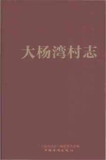 大杨湾村志