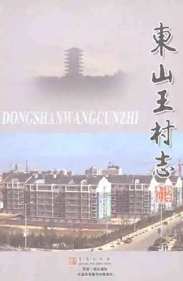 东山王村志