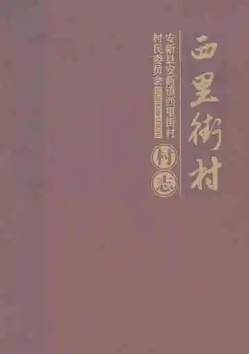 西里街村村志