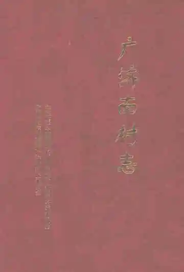 广济南村志
