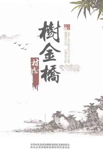 树金桥村志