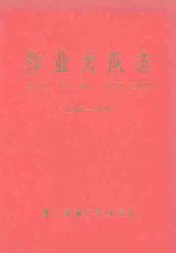 作业大队志