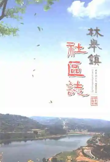 林皋镇社区志