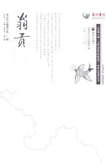 翁贡村志