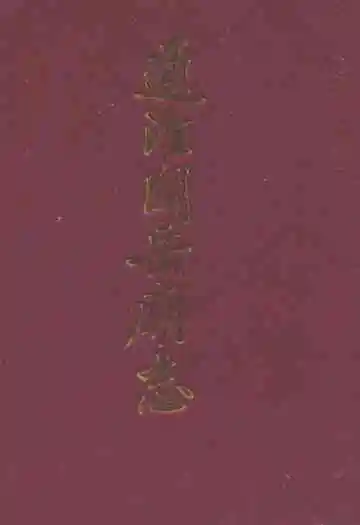 通淮关岳庙志