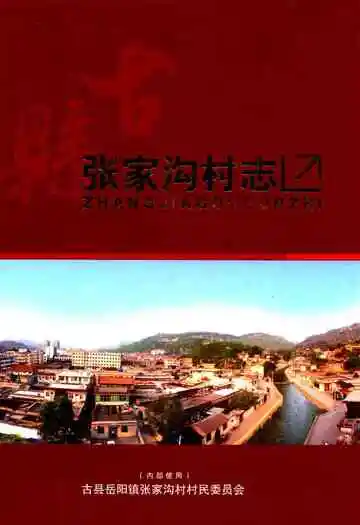 张家沟村志