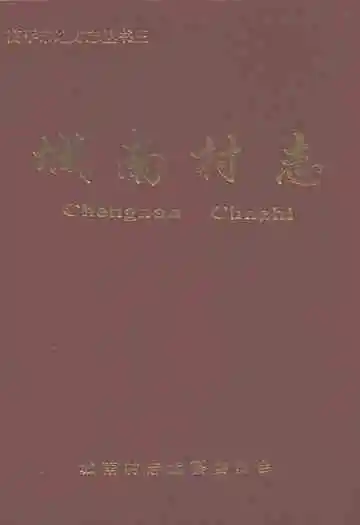 城南村志