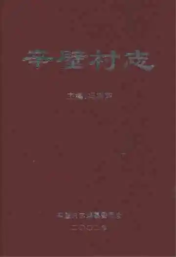 辛壁村志