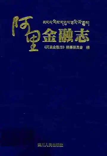 阿里金融志