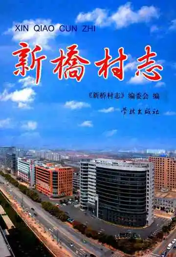 新桥村志