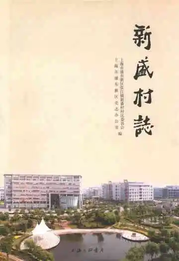 新盛村志