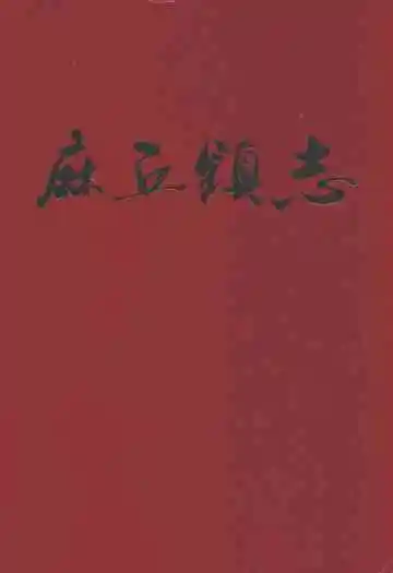 麻丘镇志