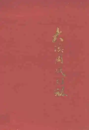 大溪周氏村志(公元一九四九年至一九九三年)