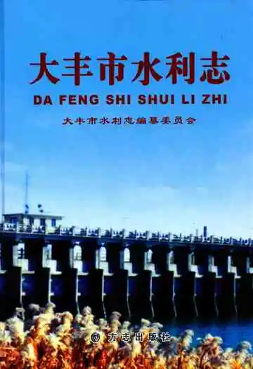 大丰市水利志