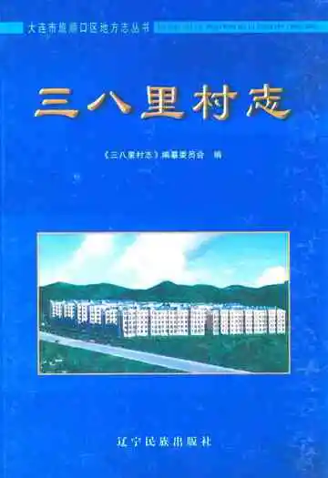 《三八里村志》