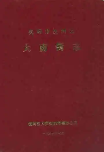 沈阳市沈河区大南街志