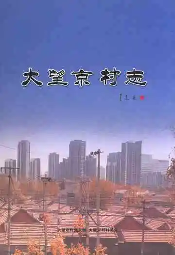 大望京村志