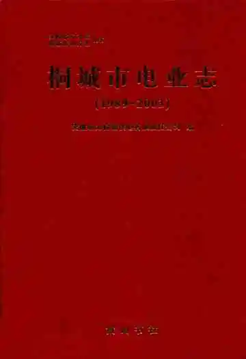 桐城市电业志(1989~2003)