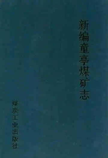 新编童亭煤矿志(1989-2009)