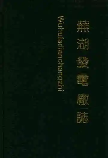 芜湖发电厂志