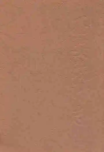 西安统计志