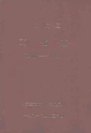 南岗区文化志(1903-1990)