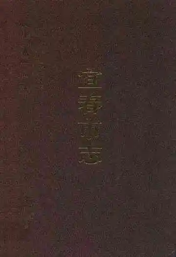 宜春市志(中册)