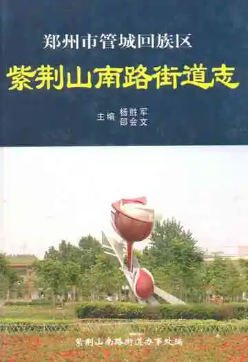 紫荆山南路街道志