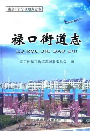 《禄口街道志》