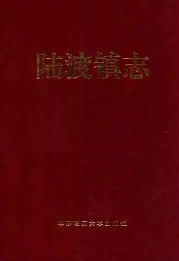 陆渡镇志
