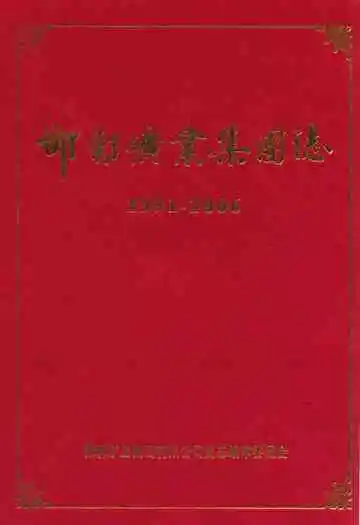 邯郸矿业集团志(1991-2006)