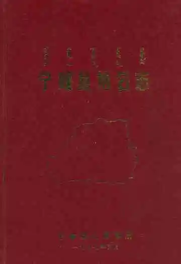 《宁城县地名志》封面