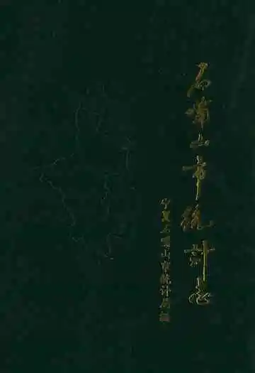 石嘴山市统计志